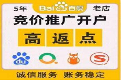 成功案例：百度推广返点的实际效果